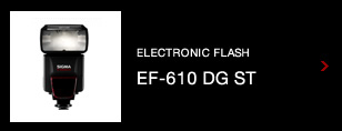 electronic flash EF-610 DG ST