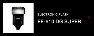 electronic flash EF-610 DG SUPER